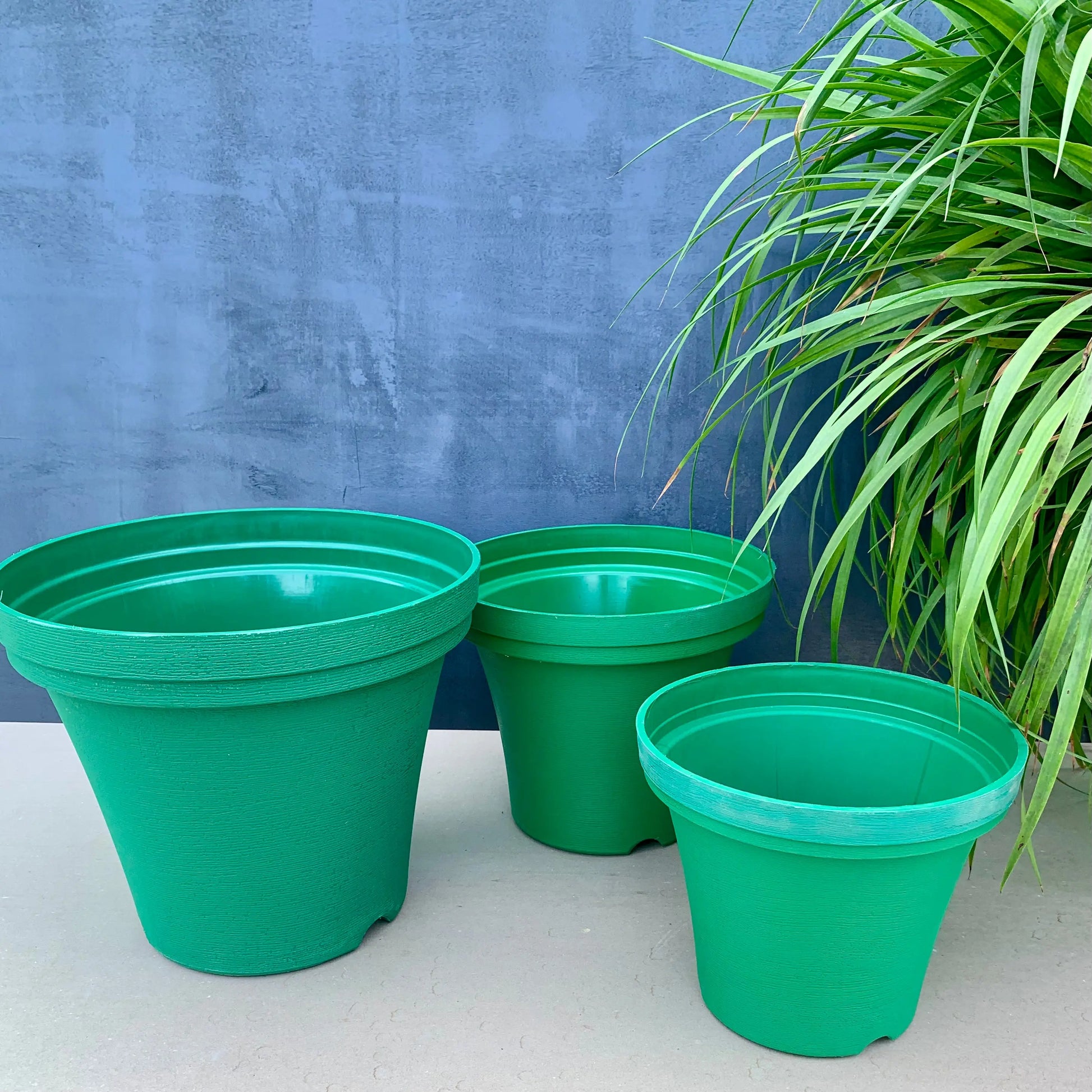Wonder planter 10.5”, 12.5”, 15.5” combo - The Plant Shop