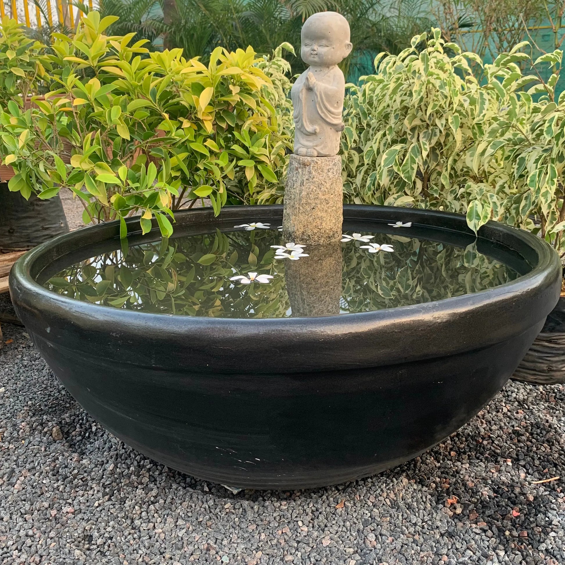 Lotus pot for sale