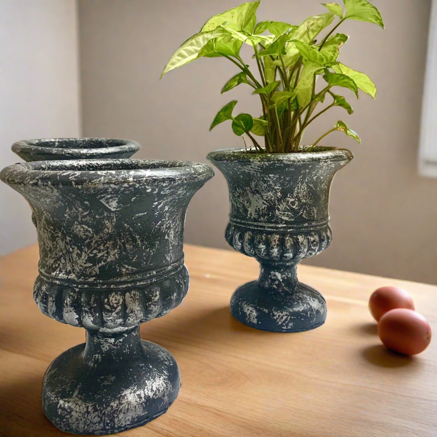 planters
