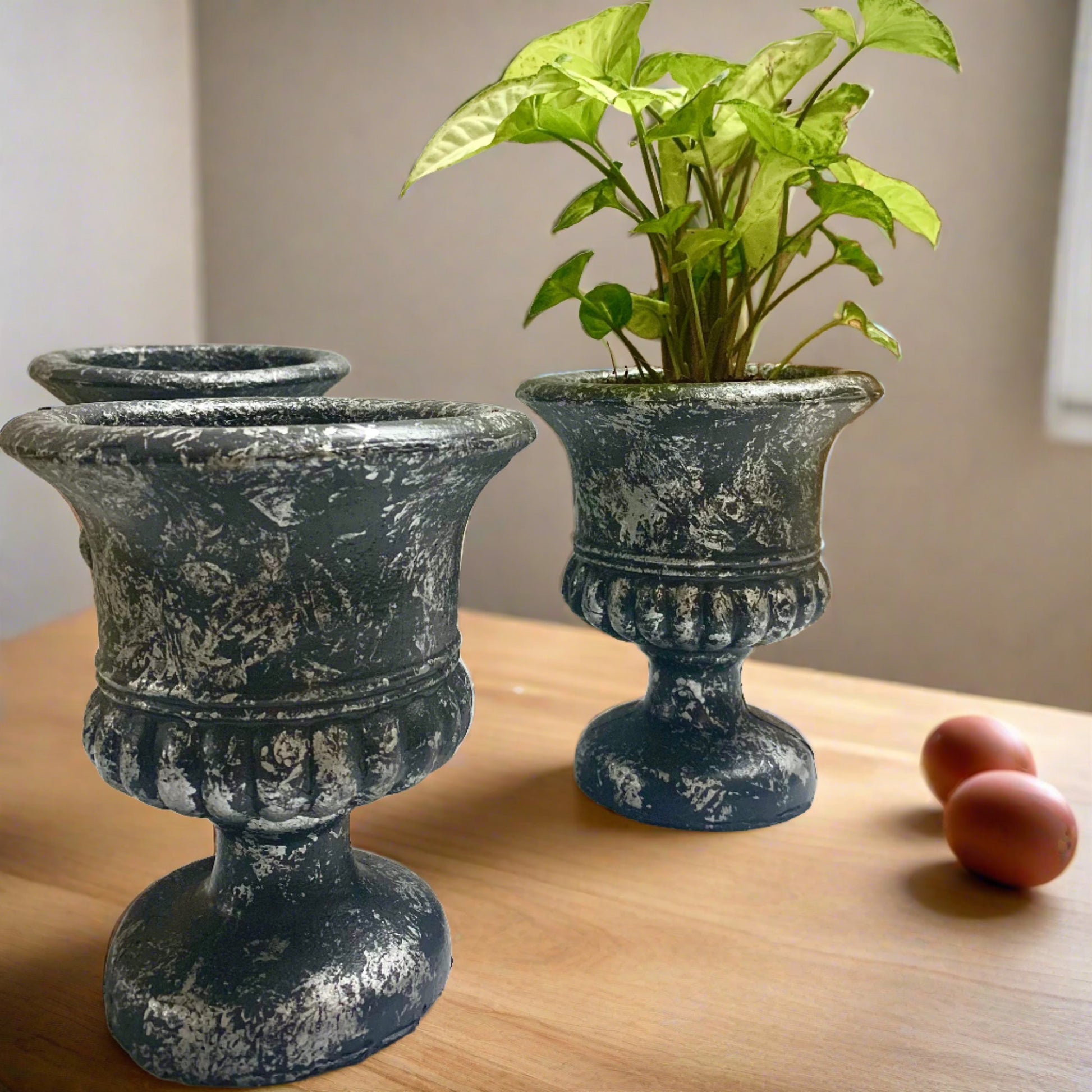 planters