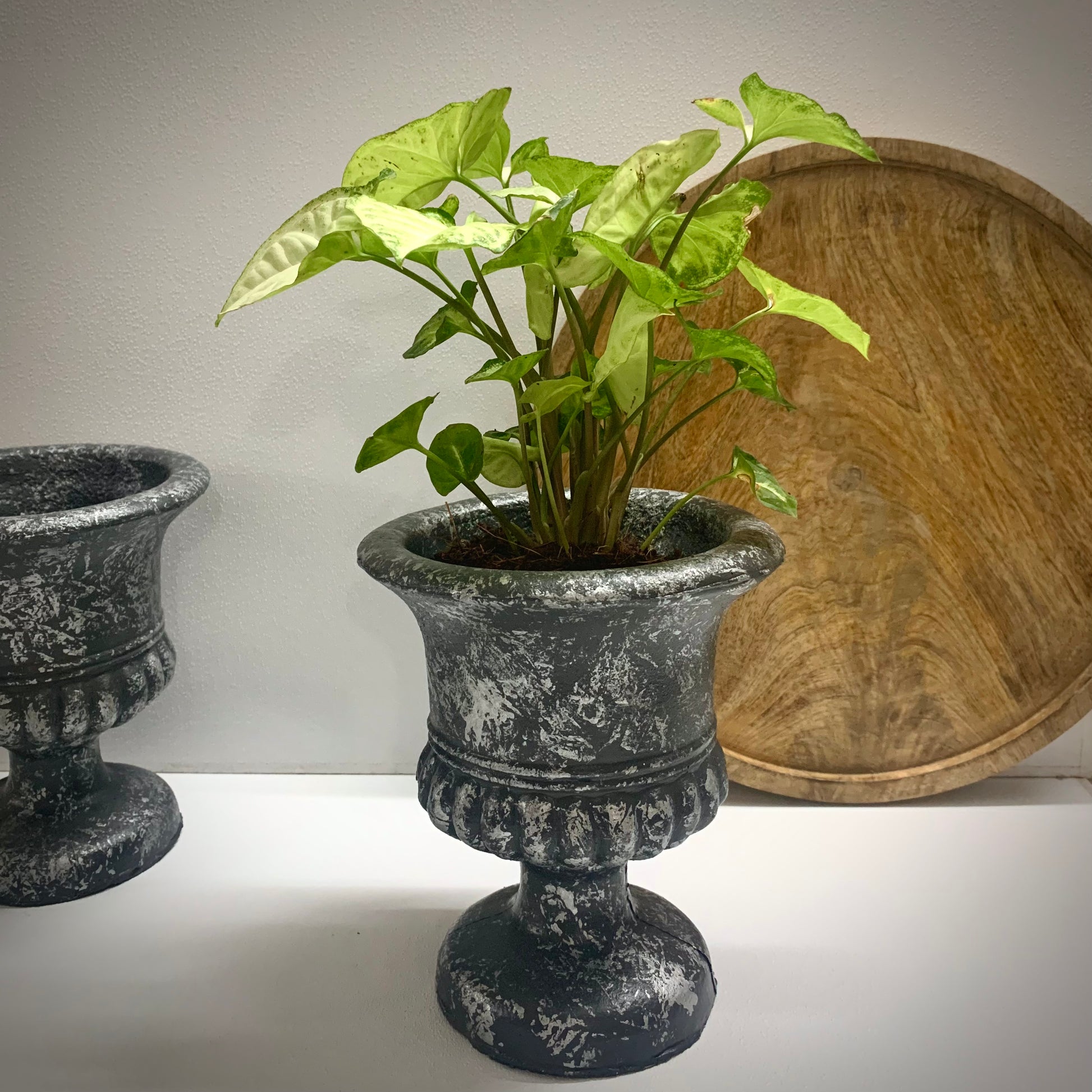 small flower pots
