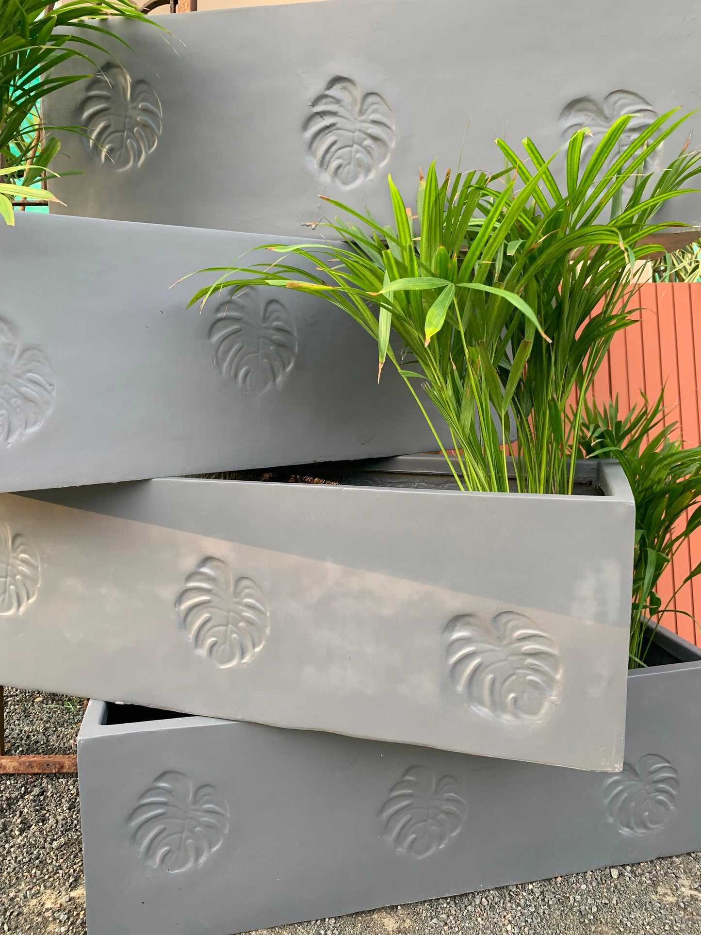 Rectangular plant pots - Monstera Leaf design planters - The Plant Shop