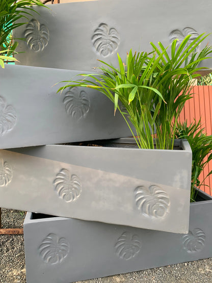 Rectangular plant pots - Monstera Leaf design planters - The Plant Shop