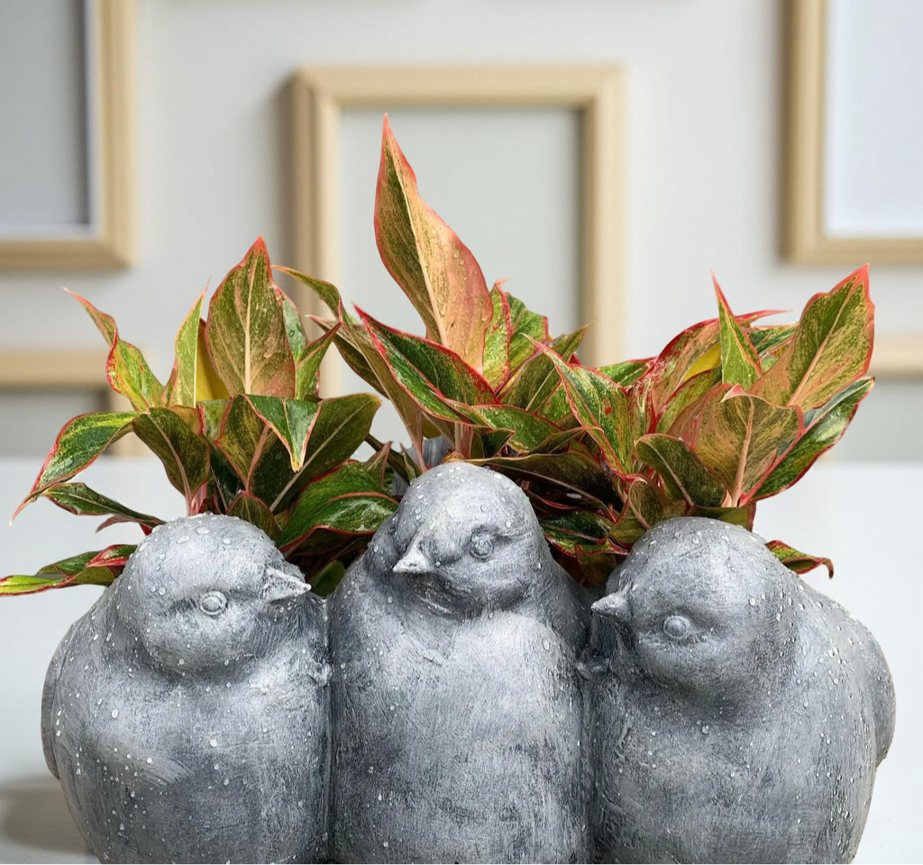 Bird planters for your indoor and outdoor plants