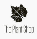 The plant shop is a plant nursery based in Chennai India dealing with the online sales of plants