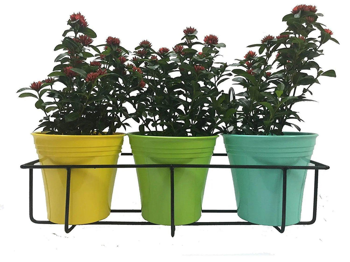 Balcony railing planter cum grill mountable flower pot stands - The Plant Shop