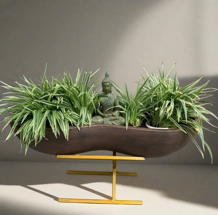 Flower pots and planters in Hyderabad best quality The Plant Shop