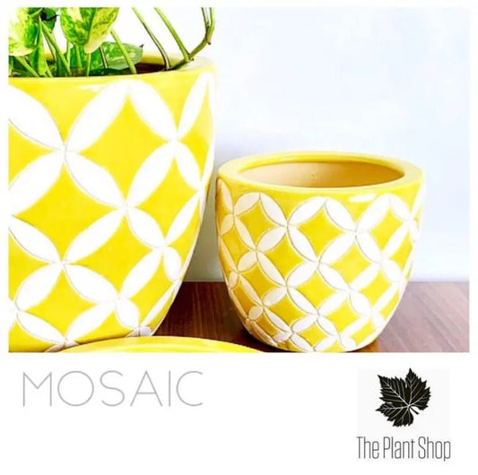 Indoor ceramic planters, flower pots mosaic style - The Plant Shop
