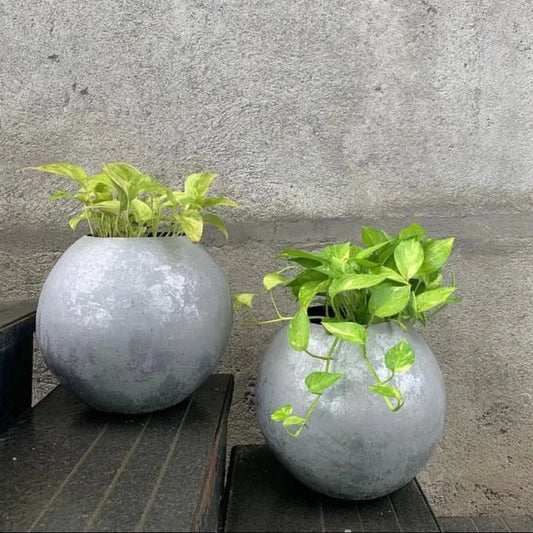 Decorative planters, Globe style for indoor plants - The Plant Shop