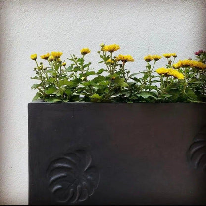 decorative planter box - The Plant Shop