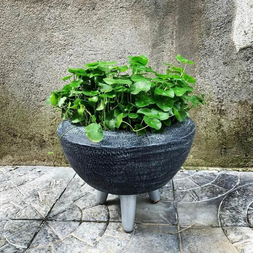 Buy planter, flower pot with legs online. - The Plant Shop