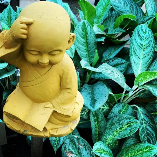 Buy thinking baby Buddha monk idol statue online. - The Plant Shop