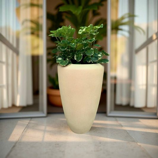 Buy Tulip planter flower pot online. - The Plant Shop
