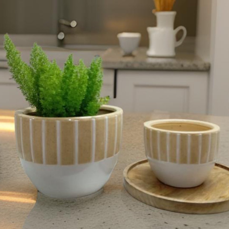 Ceramic pots in Chennai Style - Stylish planters - The Plant Shop