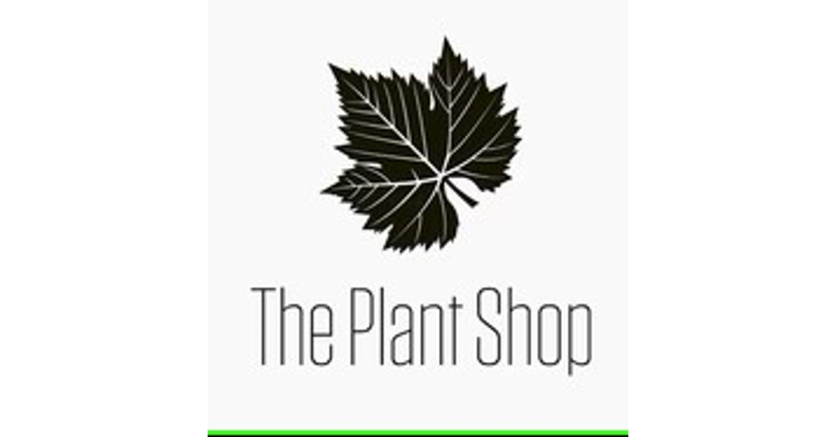 Flower pots and Planters manufacturers in Chennai India. The Plant Shop