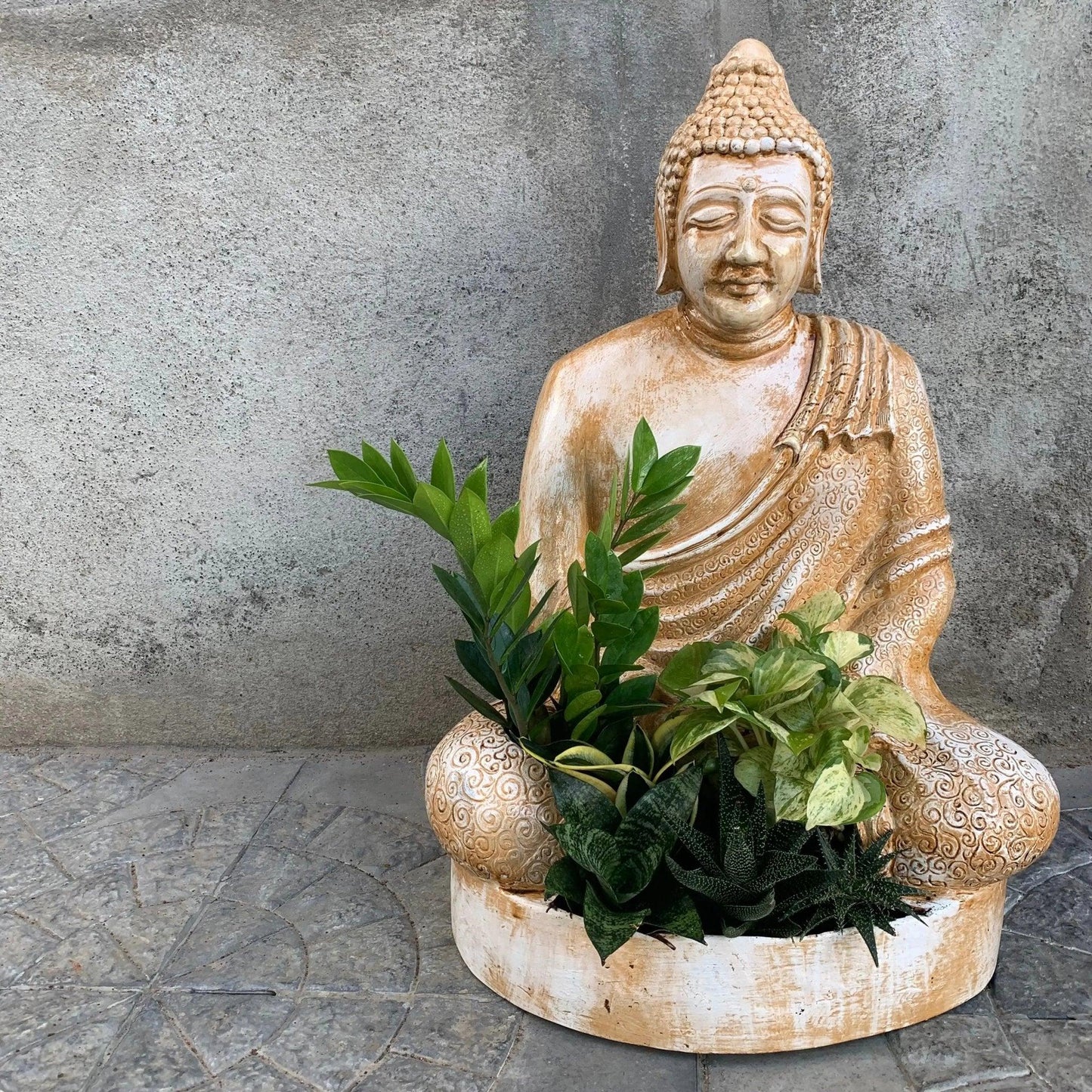 Monk planter - The Plant Shop