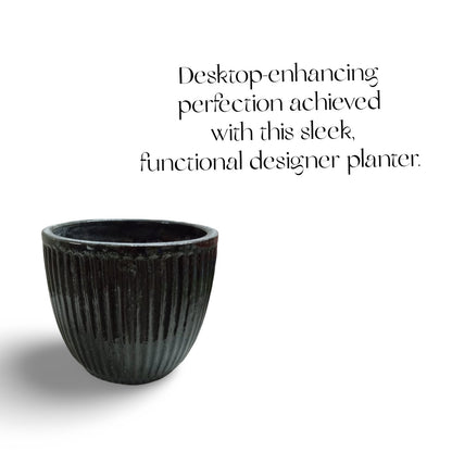 Plant Pots made from ceramic: Stylish Indoor Planters. - The Plant Shop
