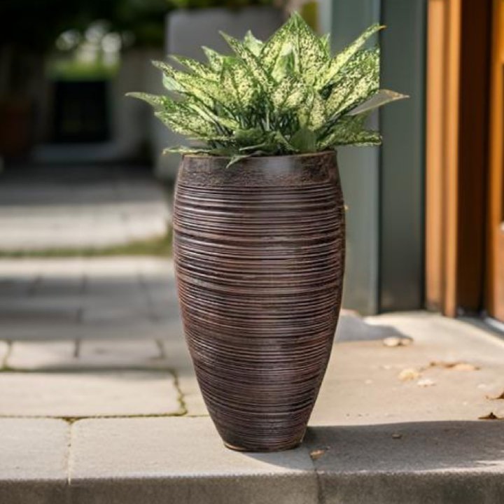 Planter ribbed style- a perfect pot for indoor plants. - The Plant Shop
