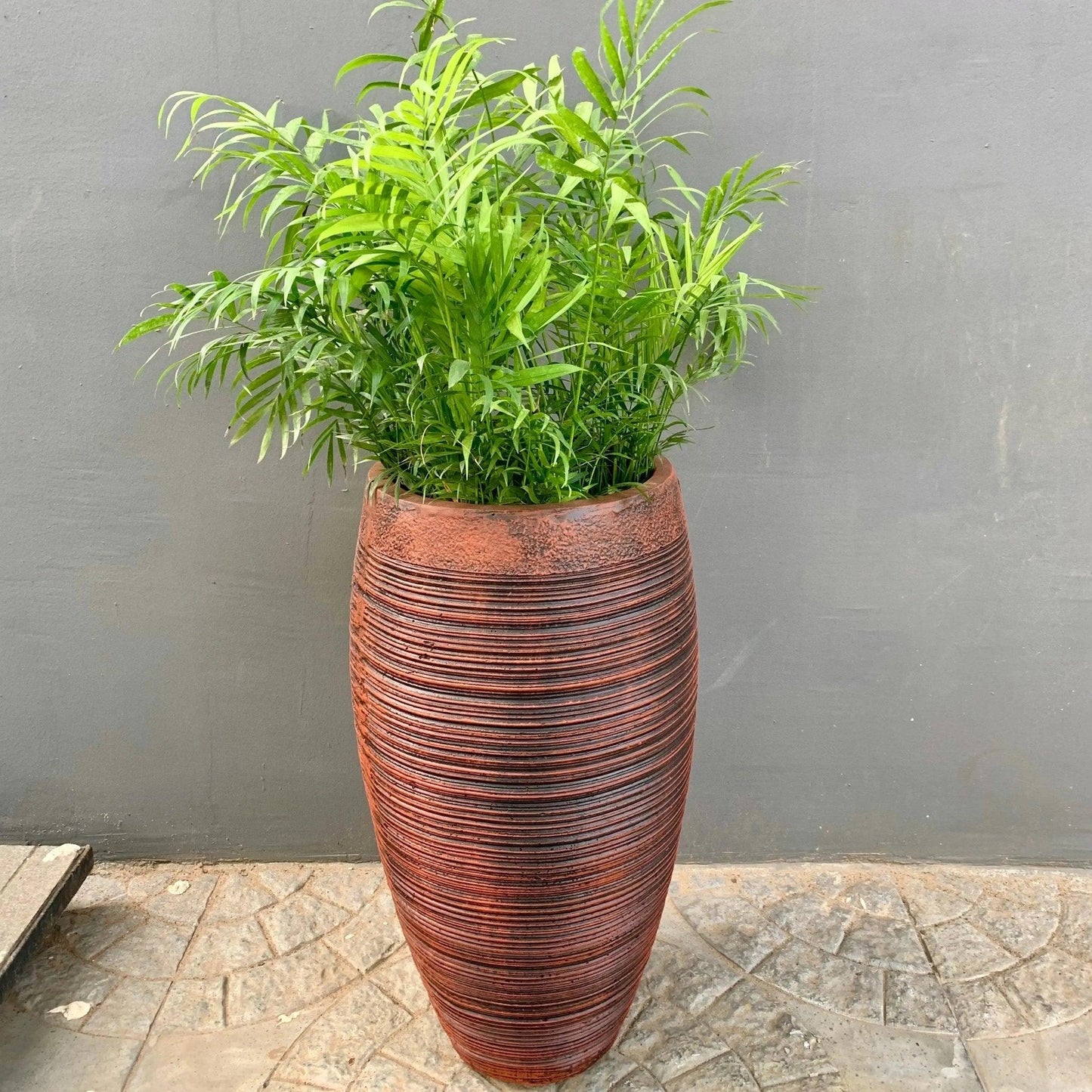 Rib round planter - The Plant Shop