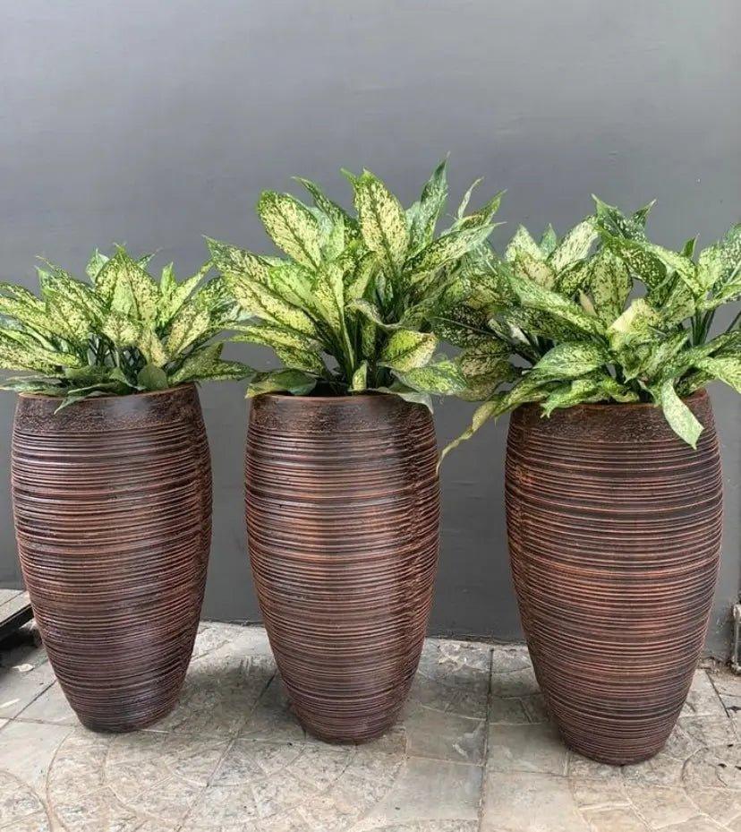 Rib round planter - The Plant Shop